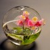 C987 15cm Clear Glass Vase Bottle Terrarium Pot DIY Home Wedding Garden Decor 691012008124  183347903324